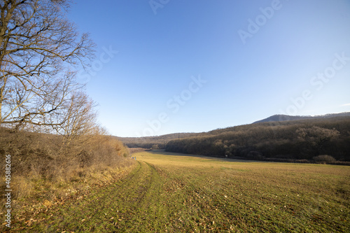 Winterliches Panorama mit Acker  und Bergen