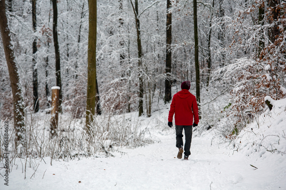 Young man in red sweater walking in deep snow in woods in Franconia, a region in the state of Bavaria in Germany	