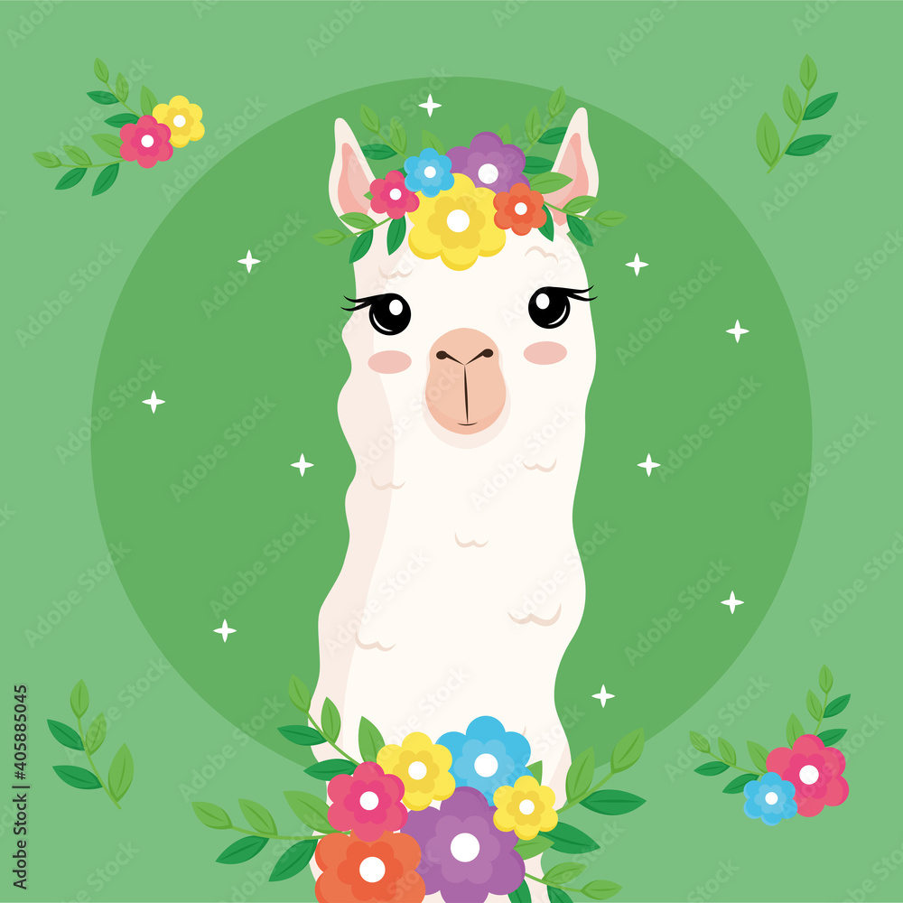 Fototapeta premium cute alpaca exotic animal with flowers decoration in head and neck vector illustration design