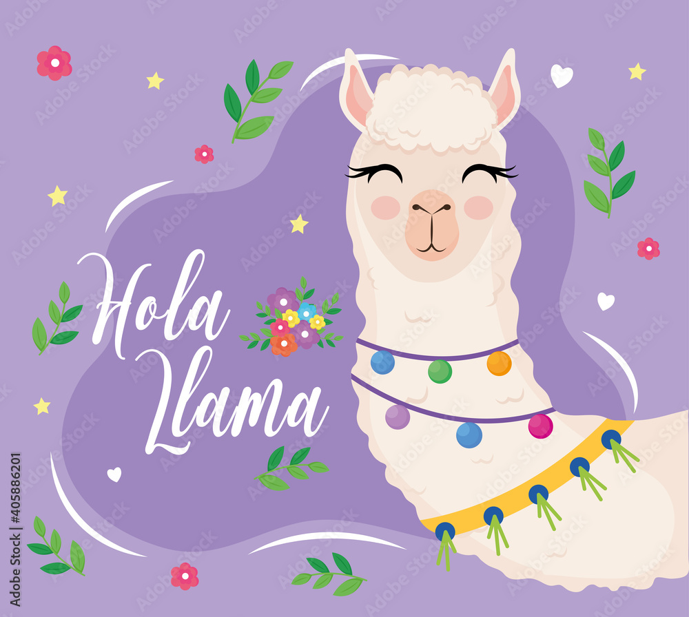 Fototapeta premium cute alpaca exotic animal with necklaces and letterings vector illustration design