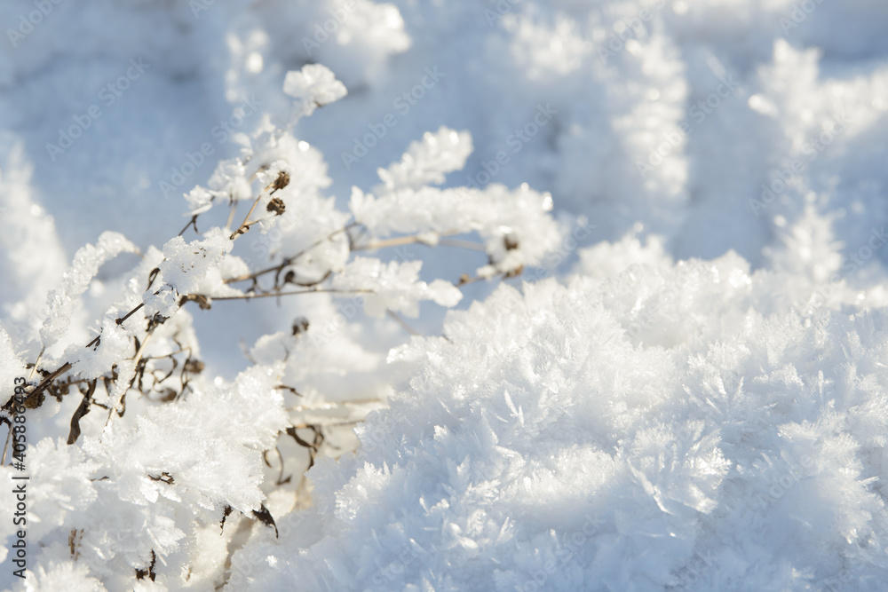 Hoarfrost background texture. Fresh ice and snow winter backdrop with snowflakes and mounds. Seasonal wallpaper. Frozen water geometrical shapes and figures. Cold weather atmospheric precipitation.