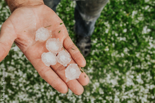 Large hail in human hands on the green grass background.