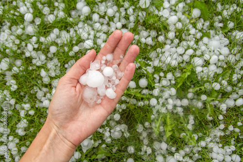 Large hail in human hands on the green grass background. photo