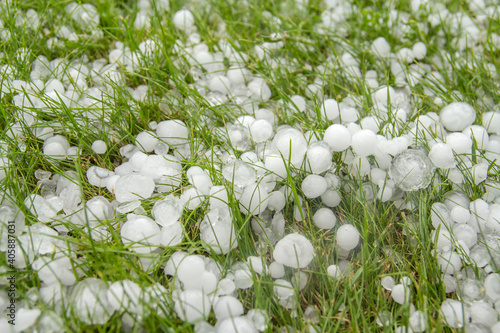 Large hail in the green grass after a thunderstorm.