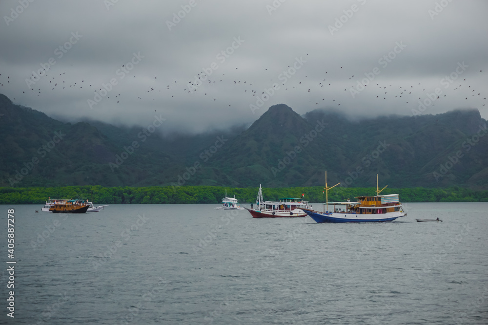 Ships in the bay and a flock of flying foxes flying from one island to another