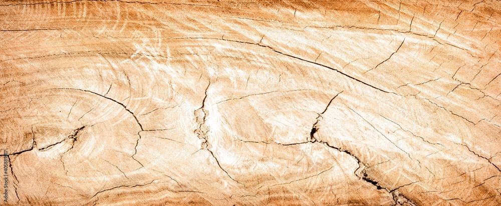 Fototapeta premium backgrounds and textures concept - wooden texture or background
