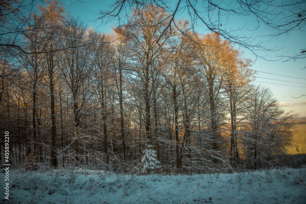 älzer Wald - Winter Wanderung - Weltachs bis Mölschbach
älzer Wald - Winter Wanderung - Weltachs bis Mölschbach