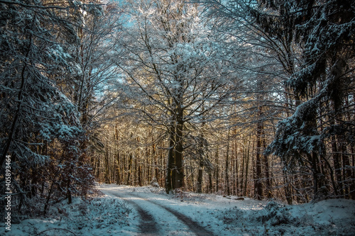 älzer Wald - Winter Wanderung - Weltachs bis Mölschbach



 photo