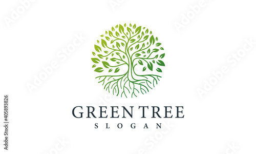 Green Tree Logo Design Nature Symbol Leaf Vector Template