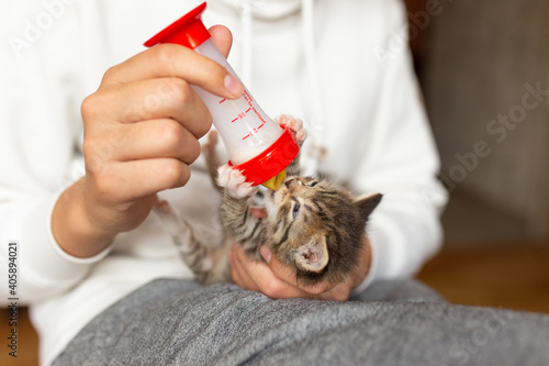 Bottle feeding a small kitten. Bottle feeding kittens with milk. Kittens in people's arms.