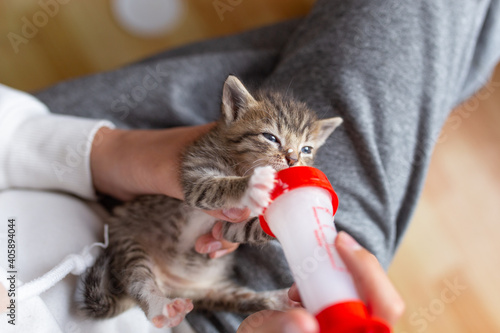 Obraz na płótnie Bottle feeding a small kitten