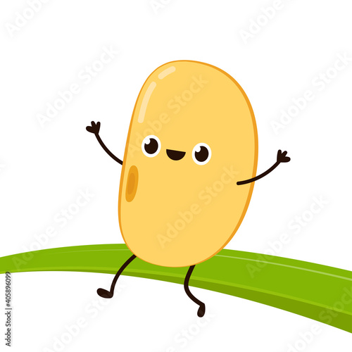 Soybean vector. Soybean character design.