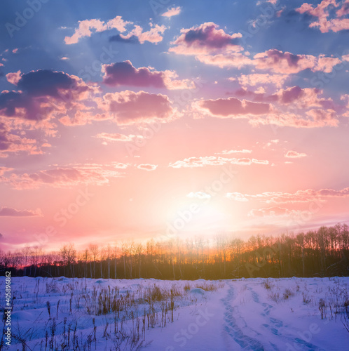 winter forest glade in a snow at the dramatic pink sunset, seasonal natural background