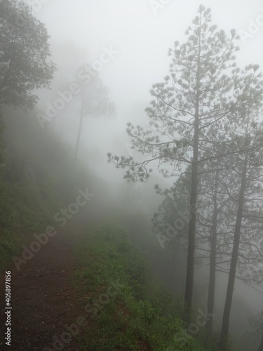 misty morning in the mountains