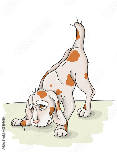 vector illustration spotted dog resting,sommer vacation nice