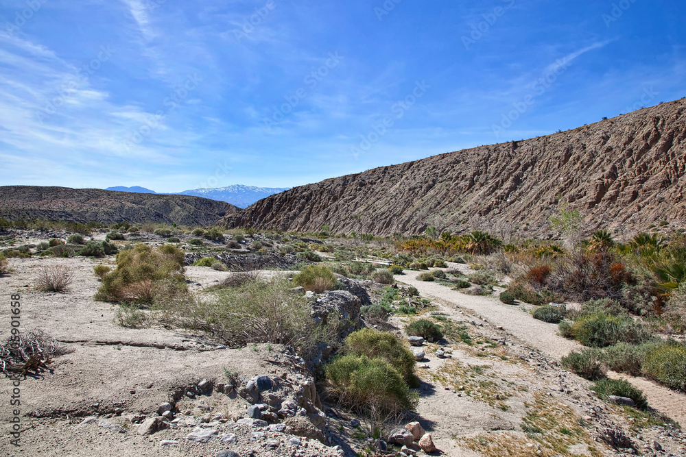 Fault Zone at Thousand Palms in the California desert Fault Zone at Thousand Palms in the California desert
