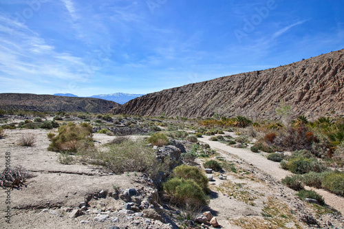 Fault Zone at Thousand Palms in the California desert