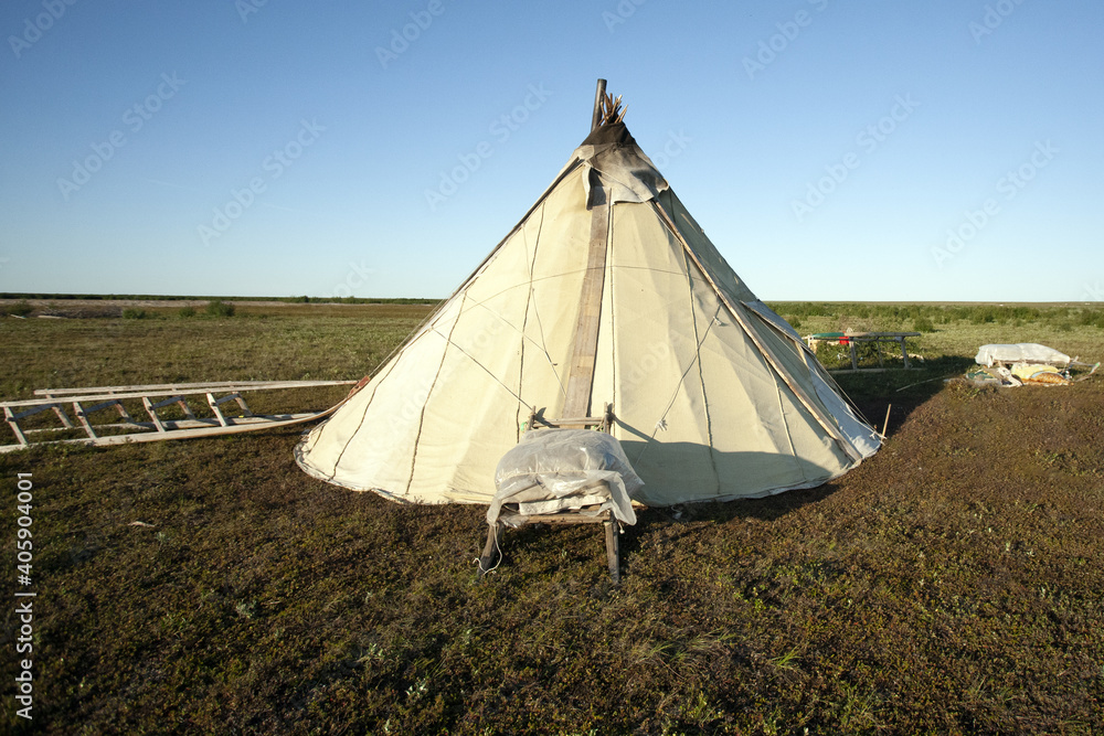 House in the tundra. Sweden's reindeer pasture