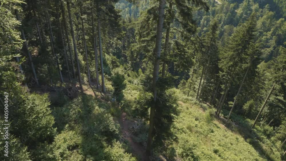 Active runner training and preparing for marathon. Woman shows power and endurance. Beautiful nature surroundings.