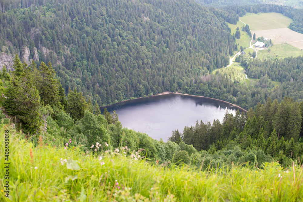Schwarzwald, Blick von der Kuppe des Feldbergs auf den Feldbergsee