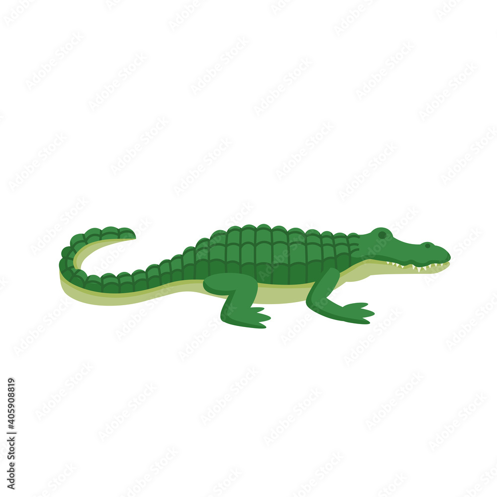 Cartoon crocodile on a white background.Flat cartoon illustration for kids. Cartoon crocodile on a white background.Flat cartoon illustration for kids.