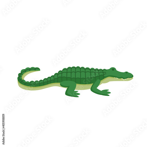 Cartoon crocodile on a white background.Flat cartoon illustration for kids. © NADEZHDA
