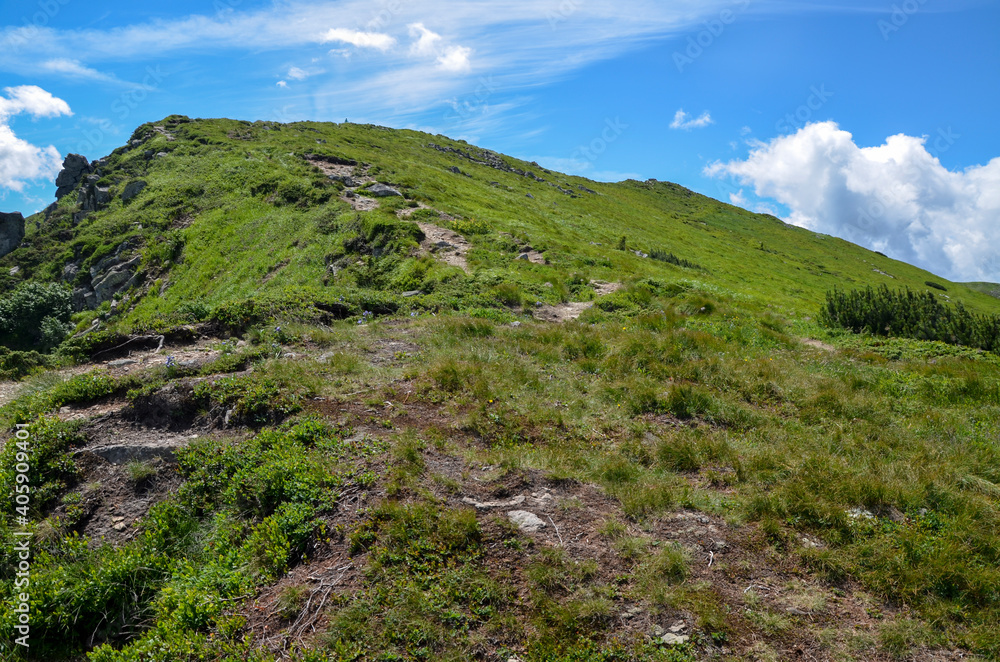 Beautiful scenery of Chornohora ridge with green slopes and valley on sunny summer day. Carpathian mountains, Ukraine Beautiful scenery of Chornohora ridge with green slopes and valley on sunny summer day. Carpathian mountains, Ukraine