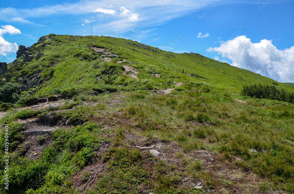 Beautiful scenery of Chornohora ridge with green slopes and valley on sunny summer day. Carpathian mountains, Ukraine