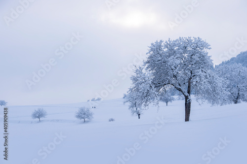 Wunderschöne winterliche Landschaft, fotografiert im Schwarzwald