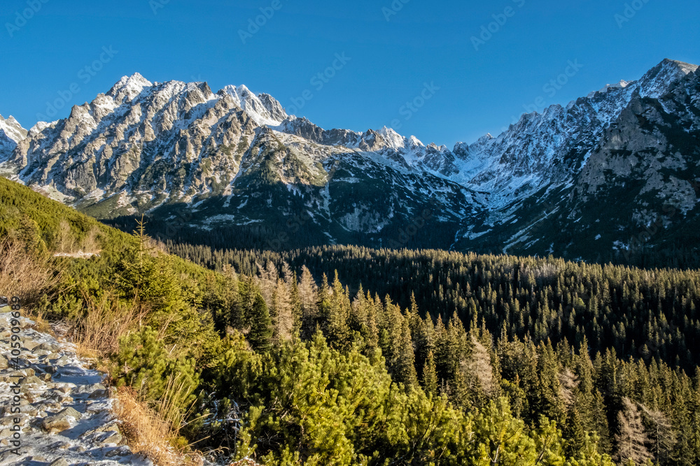 Fototapeta premium Tourist path in High Tatras, Slovakia, winter scene