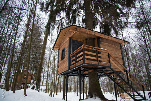 Tableau sur toile Cozy tree house