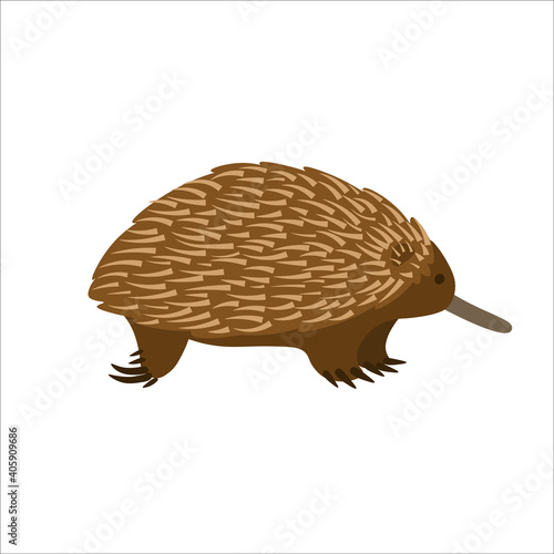 Cartoon echidna on a white background.Flat cartoon illustration for kids.