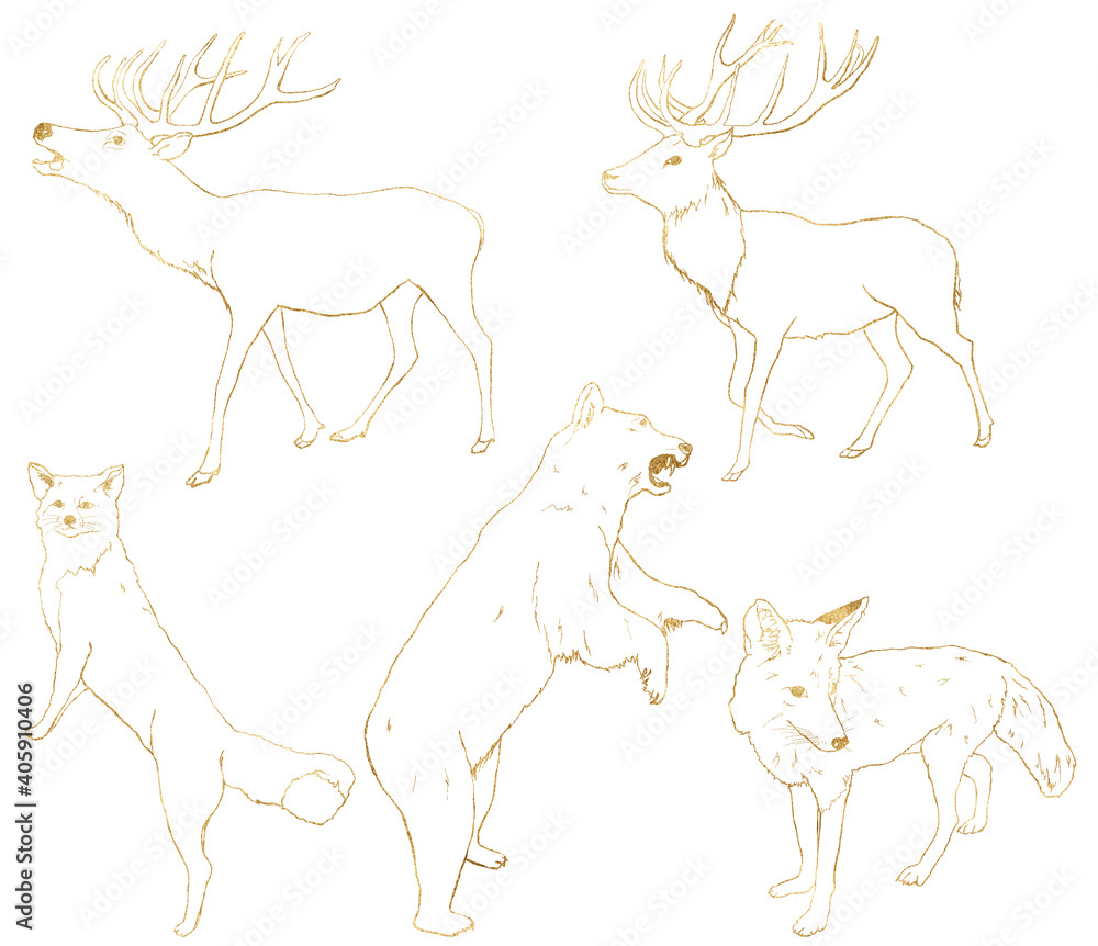 Watercolor set of gold animals. Hand painted linear bear, deer, fox and wolf isolated on white background. Wildlife illustration for design, print, fabric or background.