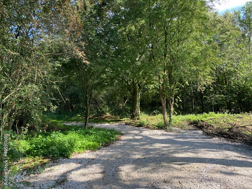 Road, leading into woodland near, Chadwick Park in, Plompton, Harrogate, UK photo