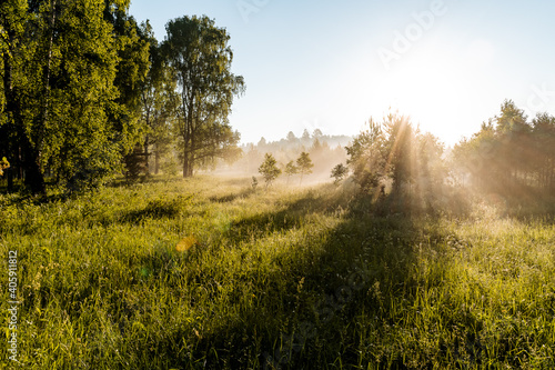 morning fog, the sun shines through the trees, early morning in the woods, haze at dawn of the day. appeasement, the beauty of nature, the summer day, the nature of the Urals, Russia, the travel