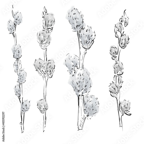 Watercolor pussy-willow set. Spring branches. Easter decorations