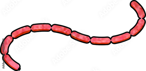 A chain of sausages.