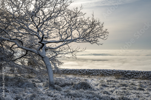 Winter sunrise cloud inversion, and snow at The Roaches, Staffordshire