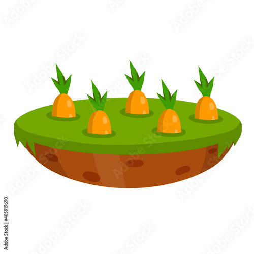 Bed with the carrots. Element of farm and village. Green countryside lawn. Natural food. Cartoon flat illustration. Growing vegetables on platform