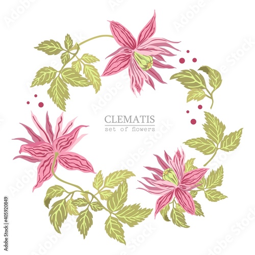 Vector illustration. Exotic flowers and leaves. Isolated set of flowers. Set Flowers.For fabric, wrapping paper, packaging, notepad, invitation, cover, banner, textile, etc.Scalable to any size.