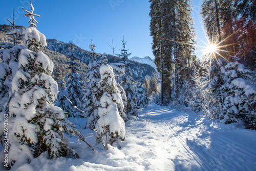 Winterlandschaft in Kleinarl am Jägersee photo