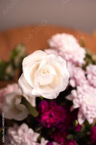 Top view  beautiful gorgeous white rose blooming around blurred colorful blossom bouquet flowers. Natural symbol of love  romance  happiness and beauty. A moment of Valentine s Day. Depth of field
