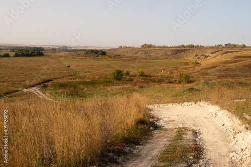 path in the field