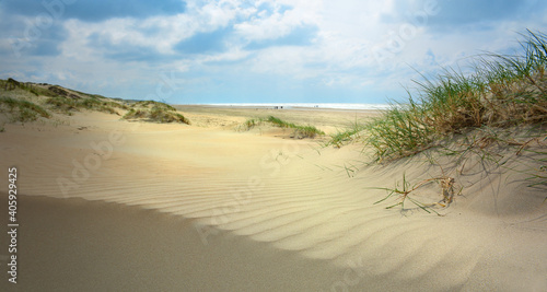 Dunes beach on the North Sea