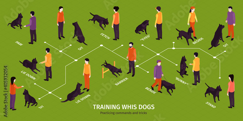 Training Dogs Isometric Infographics