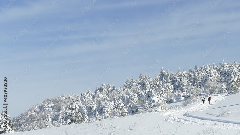 paesaggio innevato con persone 