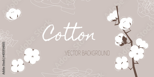 Vector neutral soft background with branch of cotton and abstract line elements. 