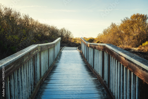 Wooden boardwalk. Hiking through natural habitats for viewing flora and fauna. Oceano  California