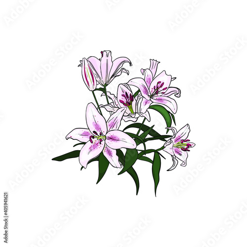 Illustration of a bouquet of pink lilies isolated on a white background. Blank for designers, elements, logo, icon, wedding