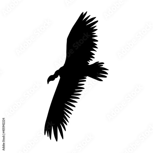 Vector hand drawn flying griffon vulture bird silhouette isolated on white background